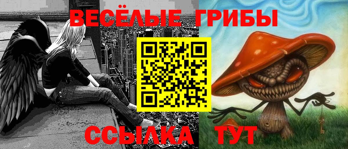 Галлюциногенные грибы ЛСД  Вход с VPN  даркнет сайт  Хабаровск 