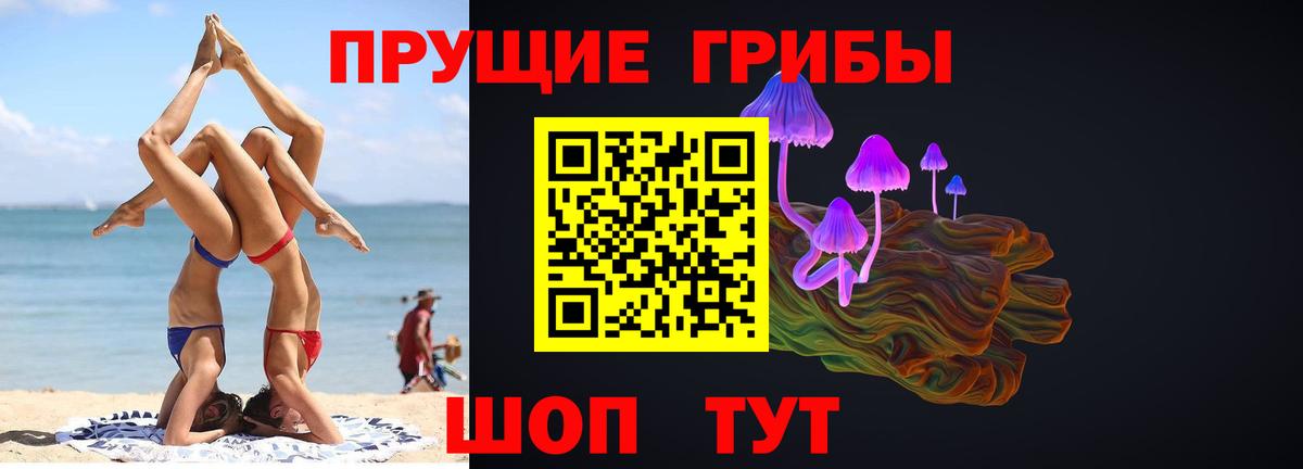 Псилоцибиновые грибы мицелий Хабаровск